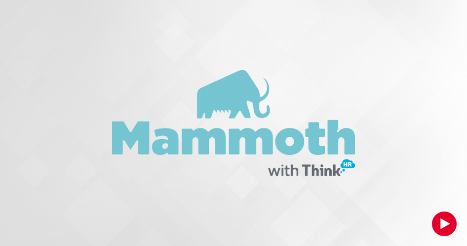 Mammoth Video