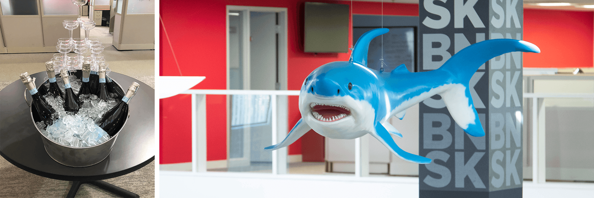 about us brainshark brain shark