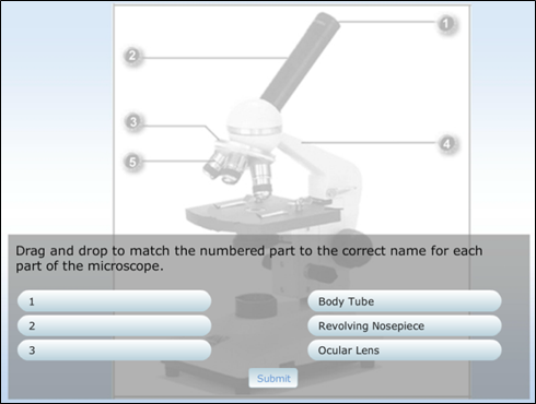 quiz-question-types-for-elearning