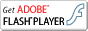 Download Adobe Flash
